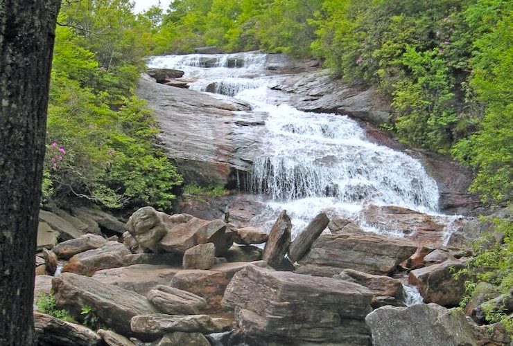 Graveyard Fields